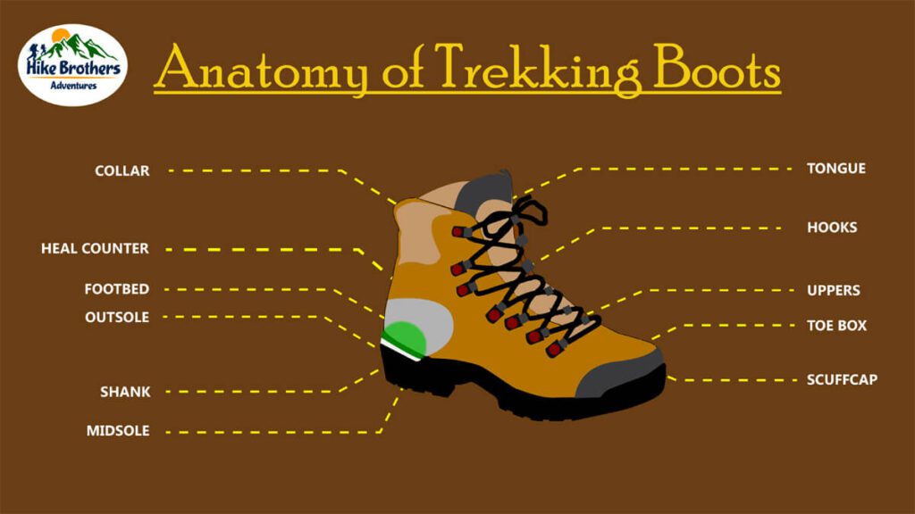 trekking shoes