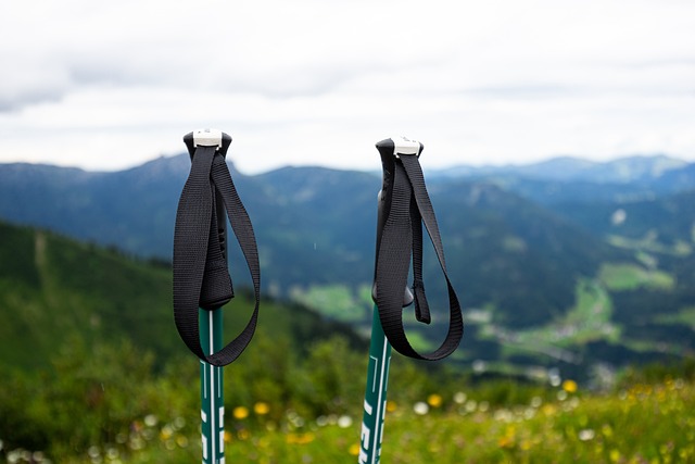 trekking essentials for beginners