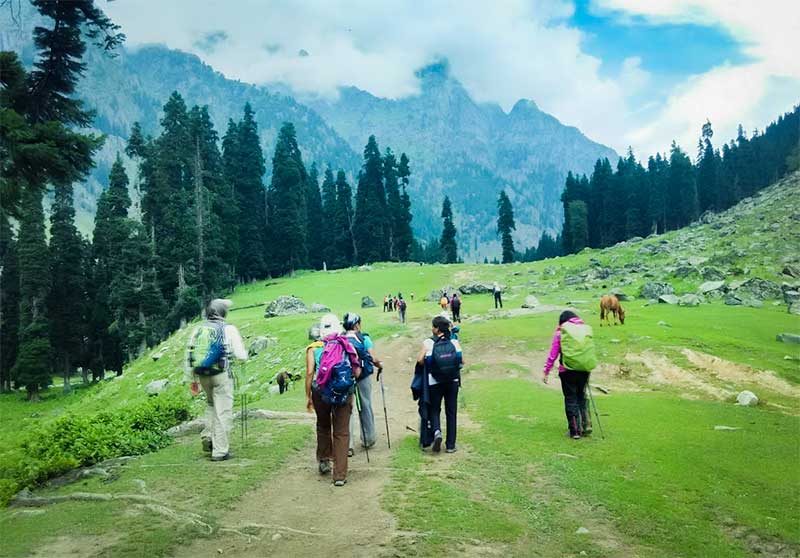 top 10 trekking companies in india