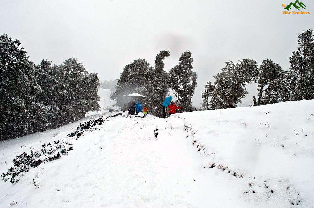 Best winter treks in uttarakhand