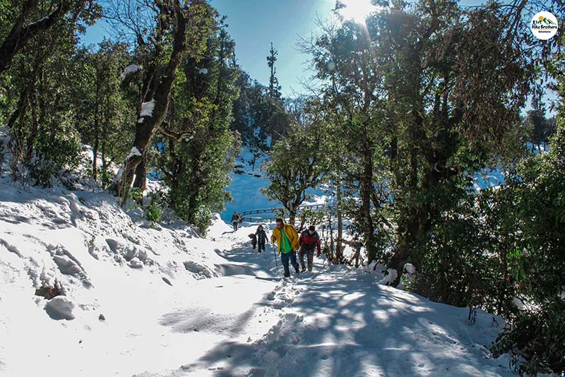 best treks in uttarakhand in december