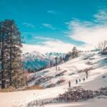 8888 kedarkantha trek distance